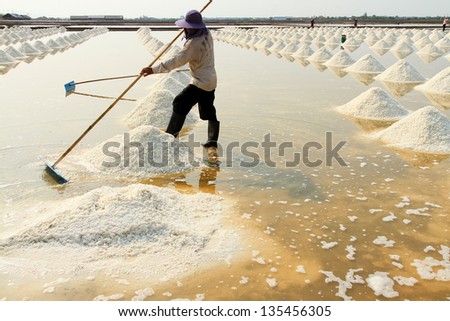 Human working in the salt farm. People make salt.