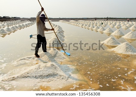 Human working in the salt farm. People make salt.