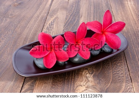 Three Tropical Plumeria Frangipani with spa stone on wooden table for spa and wellness concept