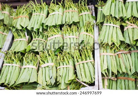 Betel leaves at a market in Myeik, Myanmar. Betel leaves and nuts are mild, addictive drugs widely used in South and Southeast Asia. Shallow depth of field photo with the first row of leaves in focus.