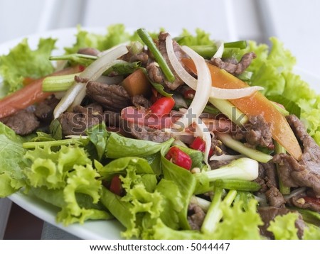 Thai beef salad, yam nua, a very spicy salad with cold, fried beef, onion, garlic, chili pepper, tomato and spring onion. Shallow depth of field.