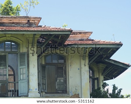Damaged, old house with small trees growing from the roof