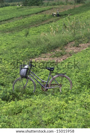 Old, worn bicycle parked in a field with Vietnamese farmers in the background. The bicycle is sharply in focus while the background is not.