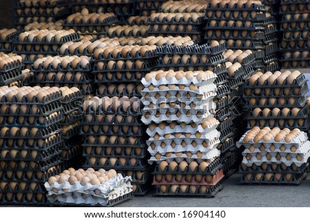 Stacks of brown eggs in trays of 36 eggs in each