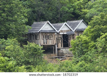 Three old shacks in a lush forest, falling apart