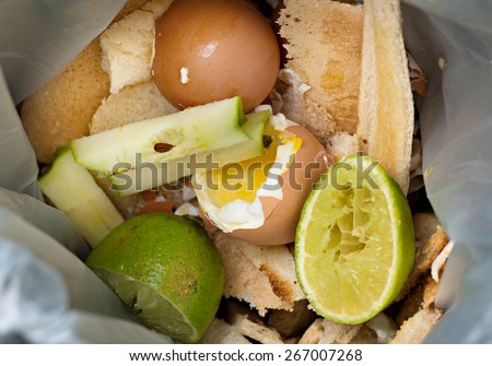 Food waste inside a plastic biodegradable bag. The bag contains limes, green limes, eggs, and toast. This bag is collected and the contents converted to compost.