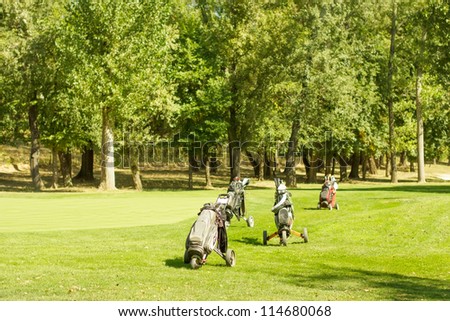 Professional golf equipment on green golf course.