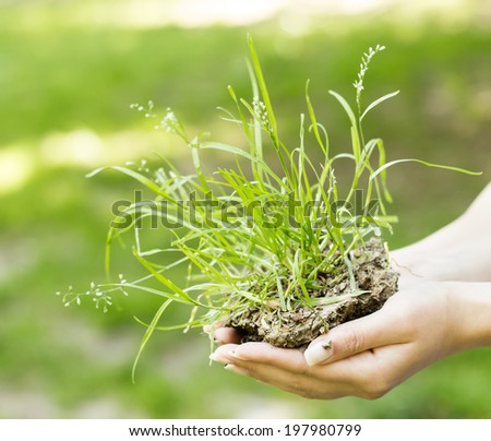 Human hands holding and support earth with grass.