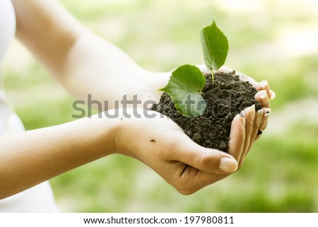 Human hands holding and support small plant to grow up.