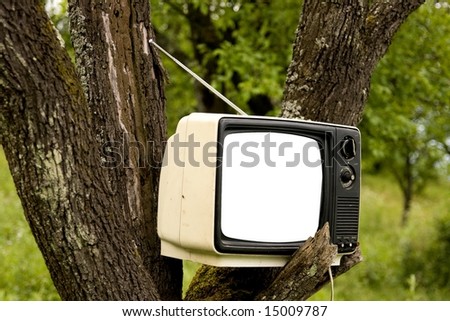 Old TV on tree. Metaphor for all around television.