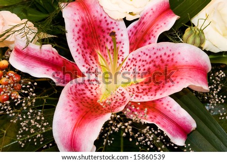 Flower lily in wedding arrangement.