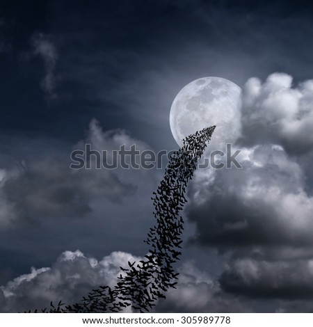 Bats flying again full moon and fantasy cloudy sky may use for horrible theme or halloween theme