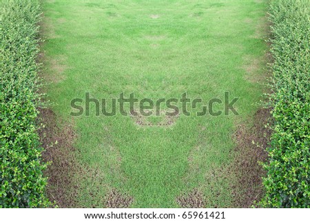 Bright and beautiful green grassland after mowing