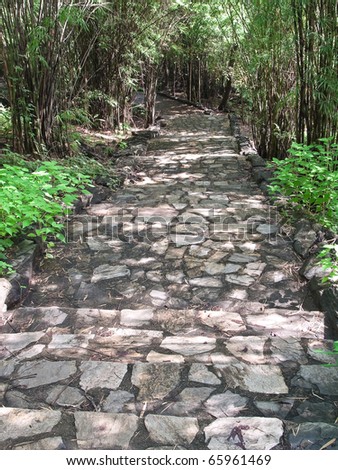 Old staircase among nature through pass forest