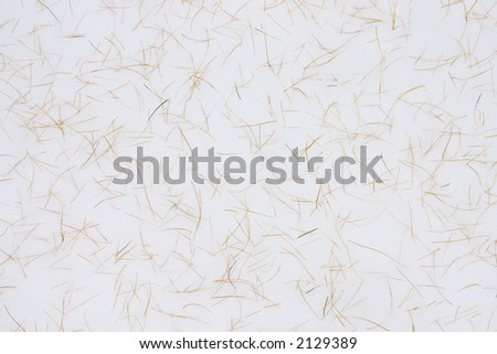 Background: fallen larch needles on white snow