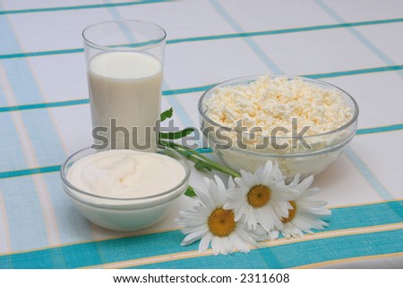 Milk, sour cream and cottage cheese in glass on check tablecloth, with three daisies