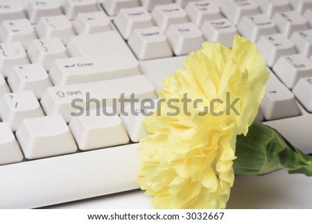 Yellow carnation flower near the computer keyboard