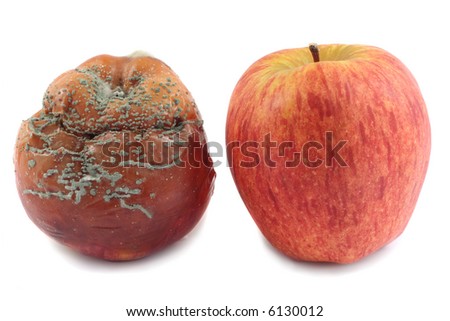 screw Eatingrotten apple