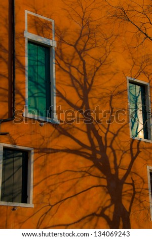 Strong shadow from winter leafless tree on vivid orange wall and green windows
