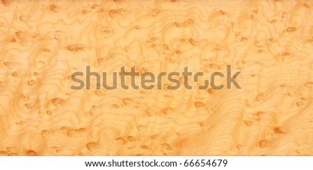 luxury wood texture