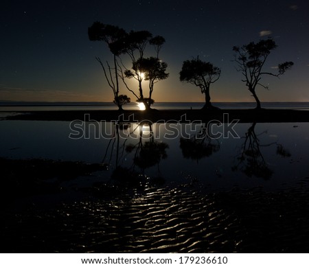 Moon rise over the bay, low tide and mud flat ripples.
