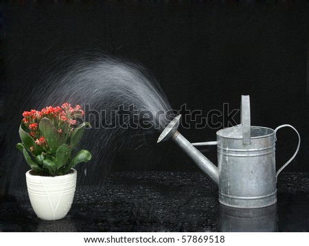 Watering can pours water on flower pot