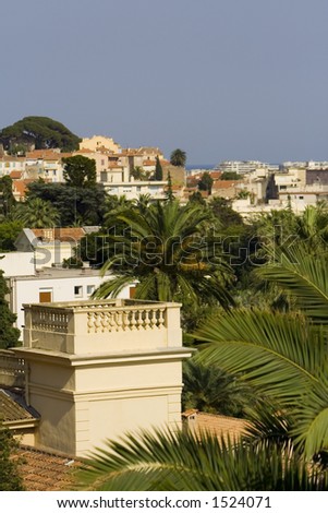 Typical view of the city of Cannes, French Riviera, Cote d\'azure: luxurious villas with palm trees near the sea
