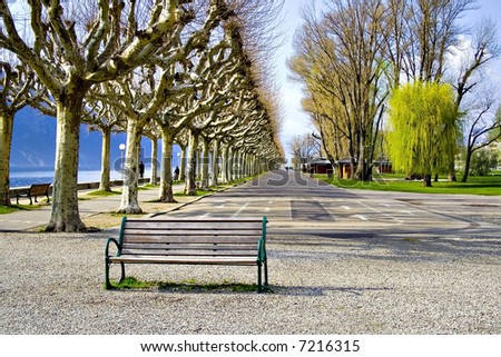 beautiful bench
