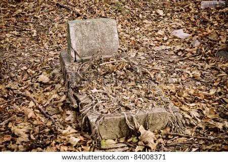 Abandoned Grave