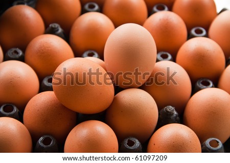 Egg shells are brown skin beautiful