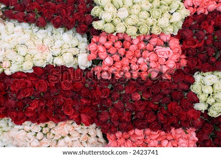 Bunch of roses packed tightly together