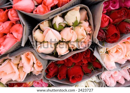 Bunch of roses packed tightly together