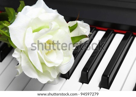 Artificial white rose on piano keyboard. Very shallow depth of field.