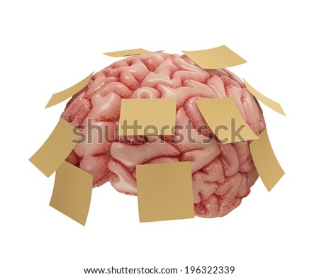 Human brain with yellow sticky notes attached. Concept of good or bad memory. Clipping path included.