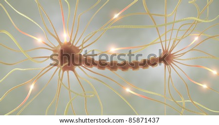 Interconnected neurons transferring information with electrical pulses.