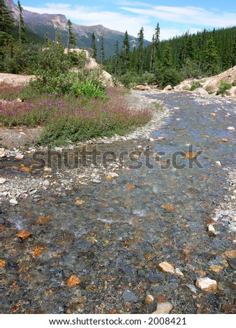 Clear stream with mountains in the background.