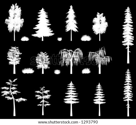 pine tree clipart. oak pine fir trees texture