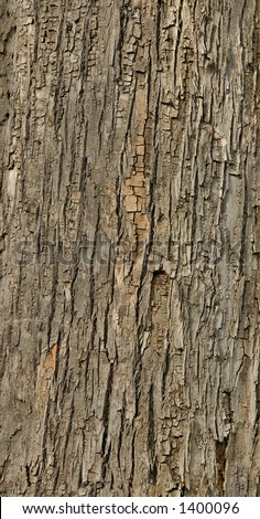 Detailed tiled seamless tree bark texture background