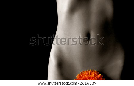 stock photo Beautiful nude female body silhouette with daisy flower 