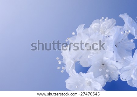 wedding flowers background. wedding flowers background.