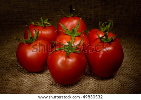 Appetizing tomatoes light-painted still life
