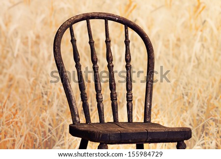 Very old chair with high definition on of its back , it is in a fall field of long grass.