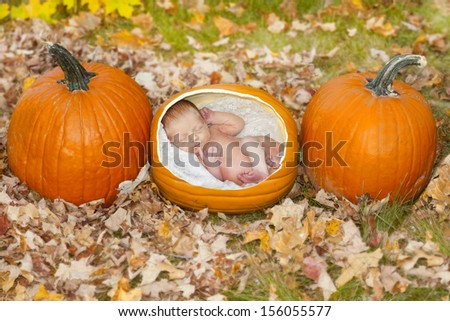 Cute concept image of a baby growing in a pumpkin patch in the fall.