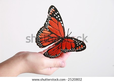 A butterfly about to fly off of a child's hand