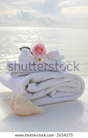 A tranquil spa setting with ocean in background and a beautiful pink rose.