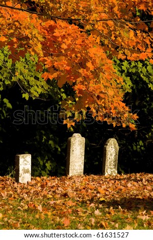 Spooky graveyard with fall leaves on ground by tombs