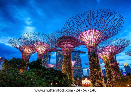 SINGAPORE-DEC 16 : Futuristic view of amazing illumination at Garden by the Bay on Dec 16, 2014 in Singapore. Night light show at Supertree Groveis is main Marina Bay Sands district tourist attraction