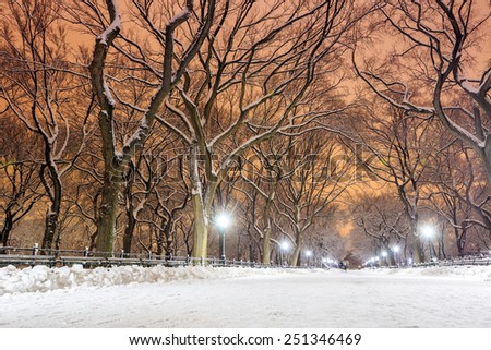 Central Park after the Snow Storm Linus in Manhattan, New York