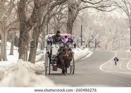 NEW YORK CITY - FEB 13: Horse carriage rider in Central Park, on February 13, 2015. in New York City. Horse-Drawn Carriages are a wonderful way to experience the beauty of the Central Park.
