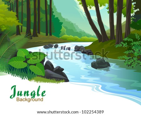 TROPICAL JUNGLE TREES AND FRESH WATER STREAM